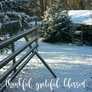 Meet your Posher, Derrick